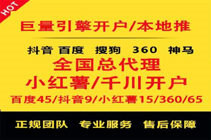 竞价排名广告投放案例
